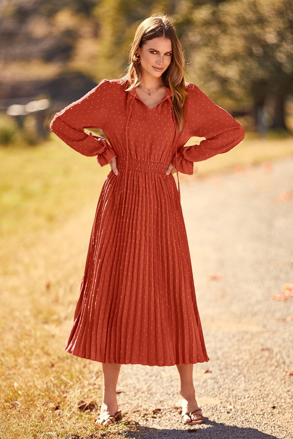 Women'S 2025 Spring Fall Midi Dress Casual Long Sleeve V Neck Swiss Dot Pleated a Line Flowy Dresses