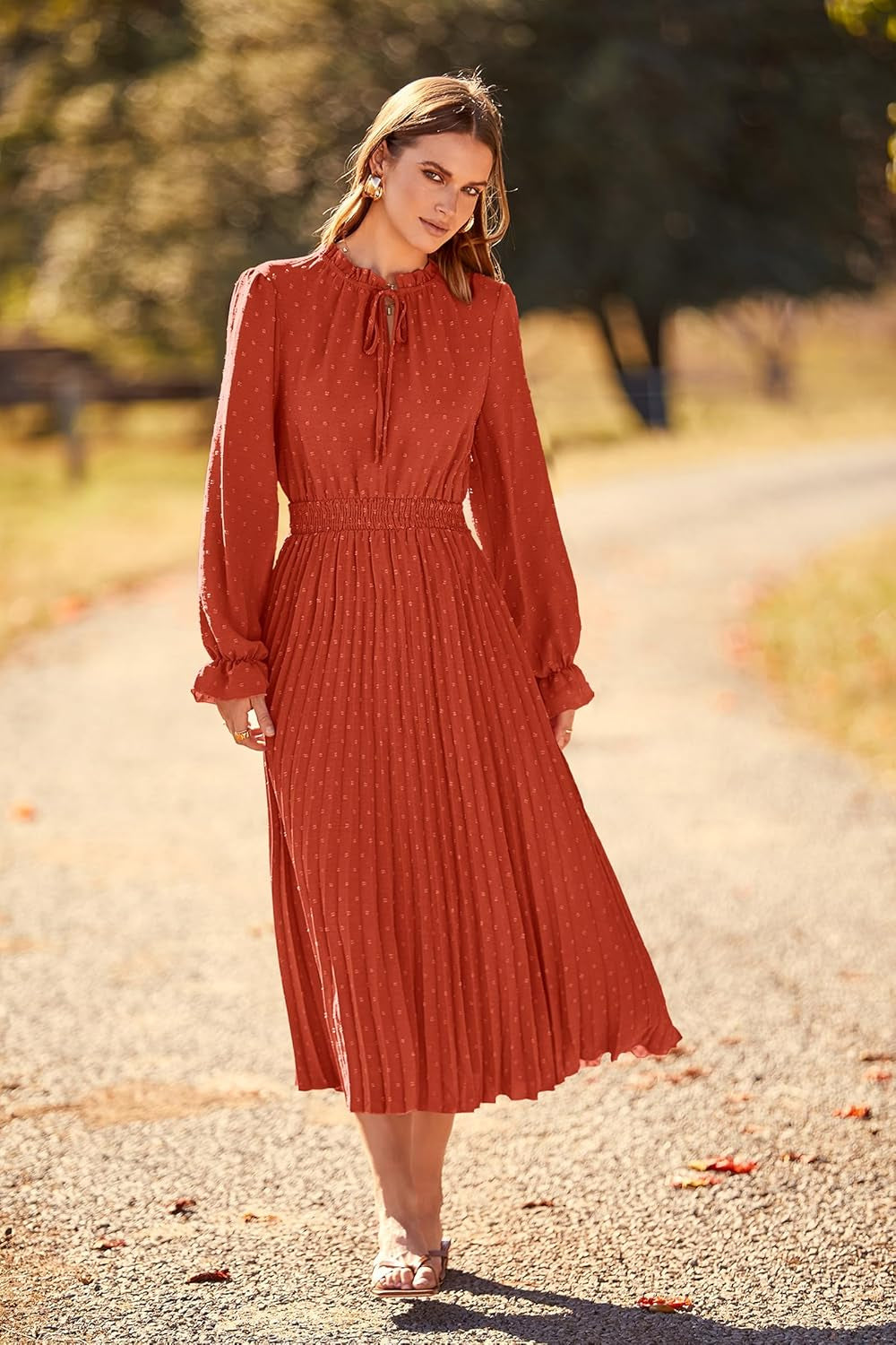 Women'S 2025 Spring Fall Midi Dress Casual Long Sleeve V Neck Swiss Dot Pleated a Line Flowy Dresses