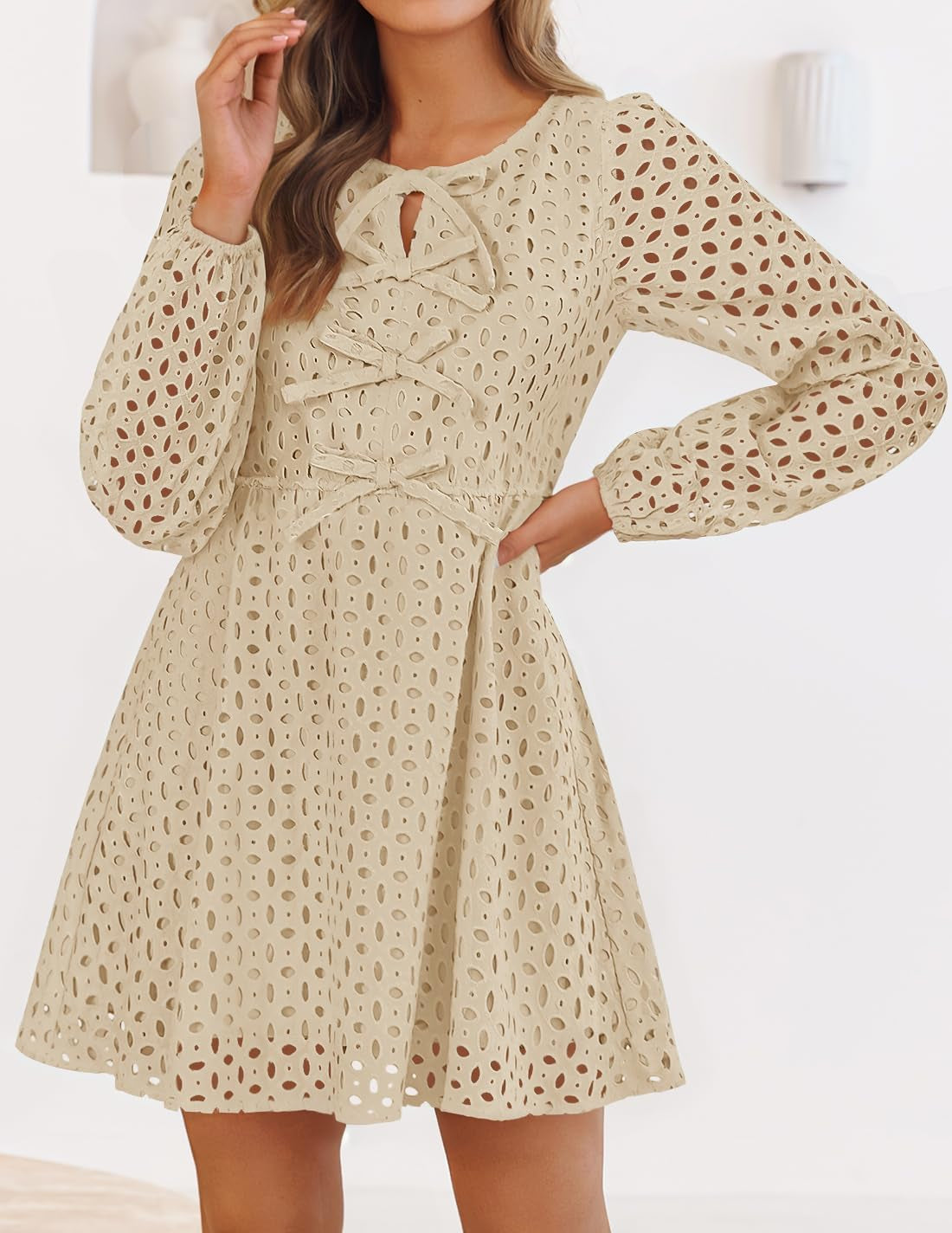 Women'S Long Sleeve Mini Dress 2025 Fall Crewneck Tie Front Hollow Out Eyelet Babydoll a Line Short Dresses